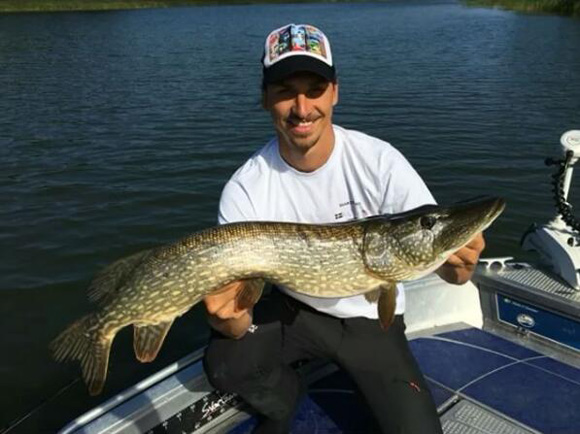 Ibrahimovic shows off his HUGE pike catch after his stunner for Manchester United