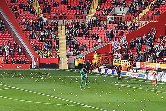 Football League chaos: 3,000 PIGS invade pitch as desperate officials delay kick off