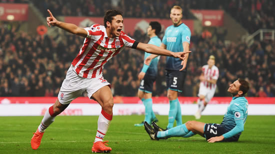 Stoke City 3 - 1 Swansea City: Wilfried Bony at the double as Stoke see off Swansea