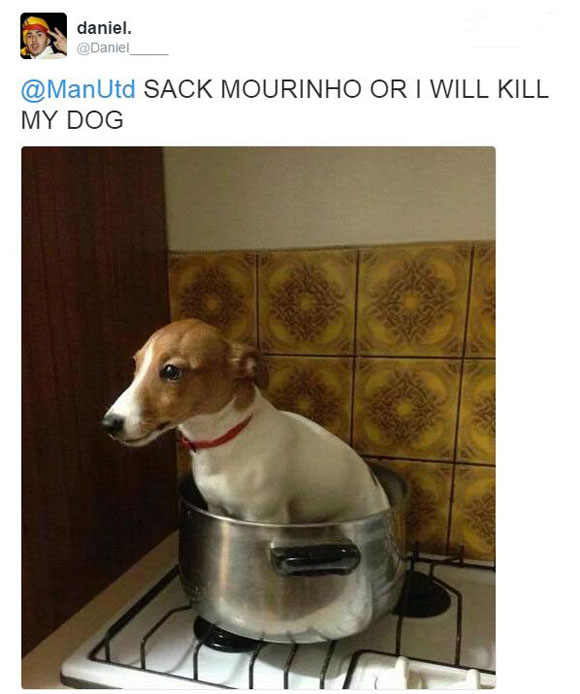 'Sack Mourinho or I kill my dog!' - Fans BEG Man Utd to bring back Sir Alex Ferguson