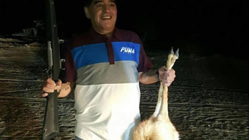 Maradona hunts endangered animal