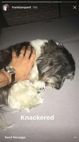 Frank Lampard risks sexism storm after posting controversial picture of his wife Christine Bleakley and dog