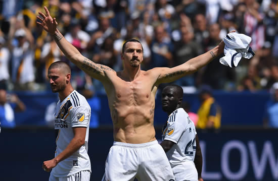 Sweden boss dashes Zlatan Ibrahimovic's World Cup hopes