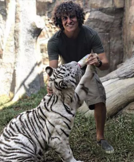 Chelsea's Brazil exiles Willian and David Luiz use free time from Blues to pet bears, feed white tigers and dine in Dubai