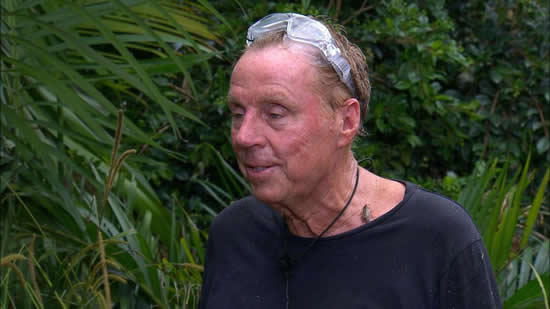 'HE'LL LOVE IT' Harry Redknapp urges Arsene Wenger to enter I’m a Celebrity after being crowned King of the Jungle