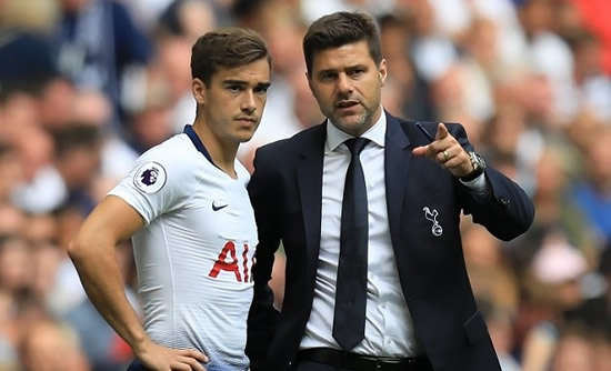 Tottenham boss Pochettino admits he could walk away