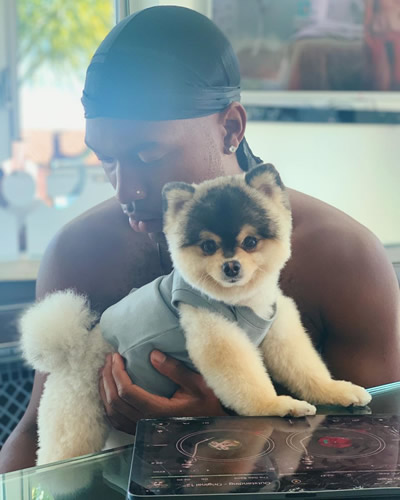 Daniel Sturridge reunited with his ‘kidnapped’ dog hours after LA rapper claimed he’d found it in online video
