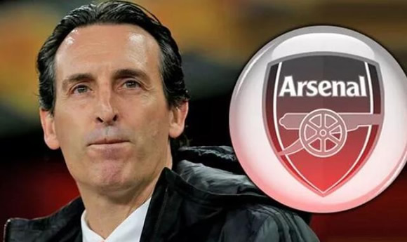 Unai Emery breaks silence on Arsenal sack as Spaniard sends classy message to Gunners fans