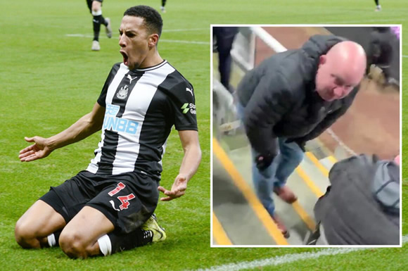 Watch as Newcastle fan gets corner flag in the TESTICLES after Ritchie kicks it into the crowd in raucous celebrations
