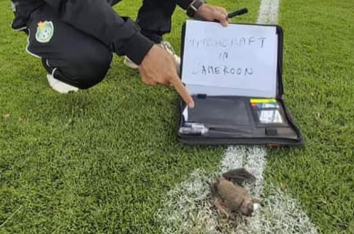 Zimbabwe manager accuses Cameroon of WITCHCRAFT after dead bat was found on the field