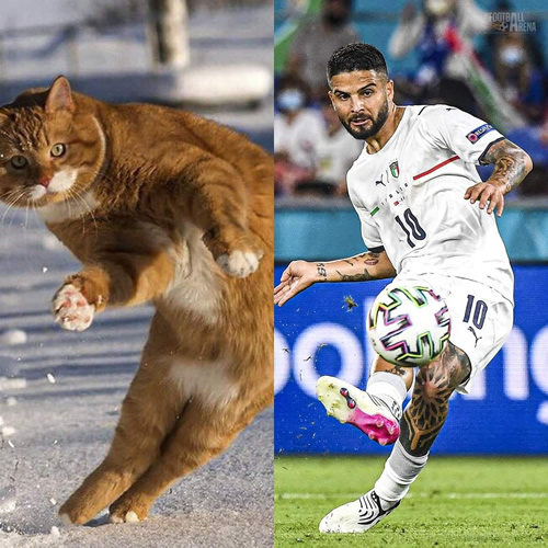 7M Daily Laugh - More than Football