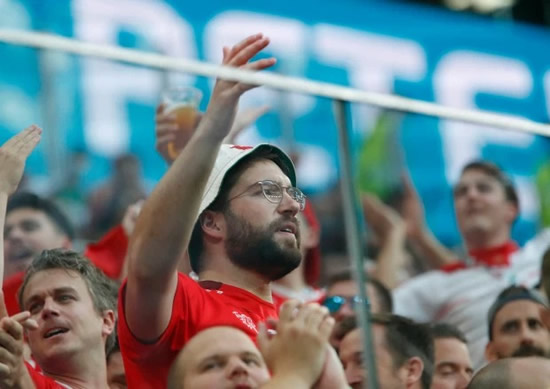 FREEBIES Switzerland super fan who become huge star for wild France celebrations gets free ticket and flight for Spain Euro clash