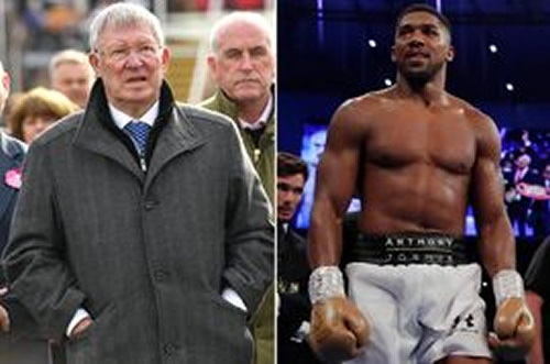 Sir Alex Ferguson 'slapped' Anthony Joshua training partner over David Beckham row