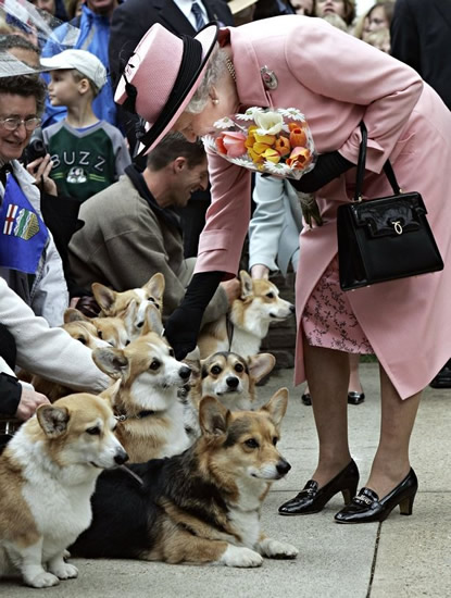 Arsenal icon told the Queen he wanted to quit football and look after her corgis