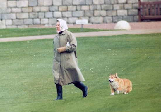 Arsenal icon told the Queen he wanted to quit football and look after her corgis