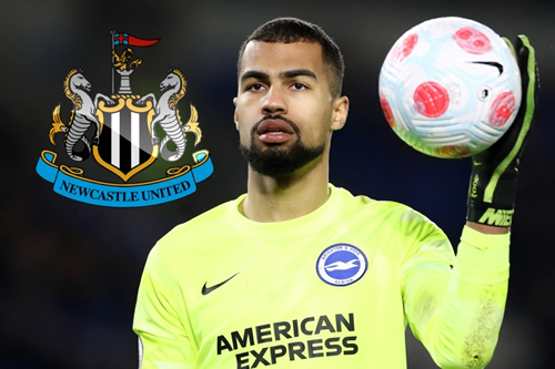 Newcastle line up £20m transfer bid for Brighton goalkeeper Robert Sanchez to become Toon No1