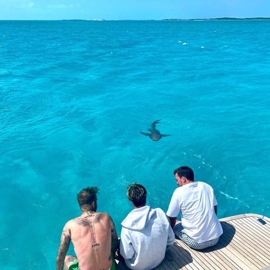 GOLDEN-BALLSY David and Cruz Beckham paddle with SHARKS in Miami