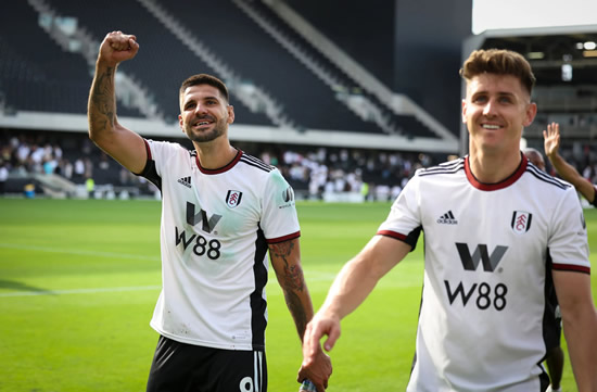 CAIR FREE Aleksander Mitrovic smashes Tom Cairney’s car window then sends Fulham pal WhatsApp message showing no remorse