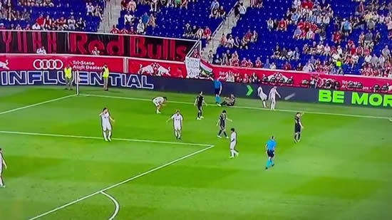 English NY Red Bulls star branded 'a***hole' after for kicking ball at own fan's face